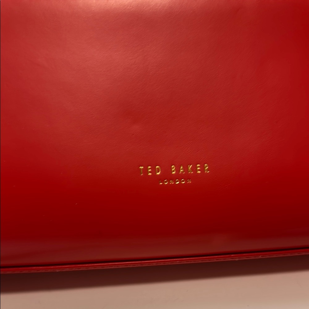 Ted Baker London Burnt Orange NWT Crossbody Bag - Picture 6 of 12